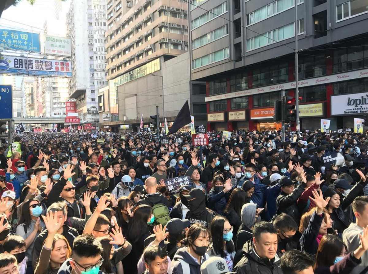 “Hedgehogs in Fog” by Nicole&nbsp;Lai